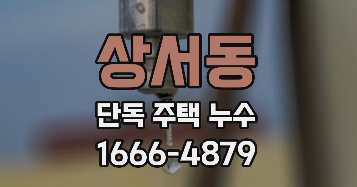 상서동 단독 주택 누수