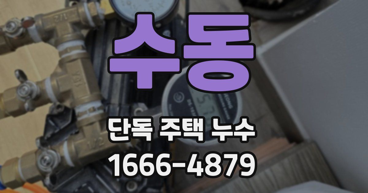 수동 단독 주택 누수