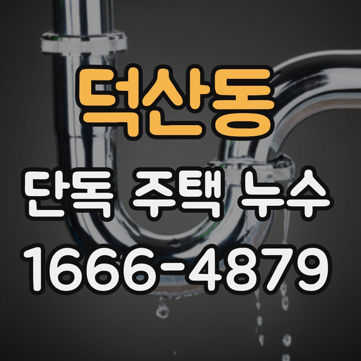 덕산동 단독 주택 누수