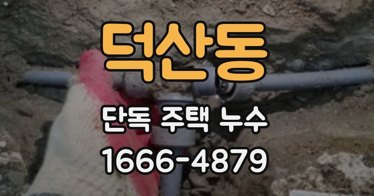 덕산동 단독 주택 누수