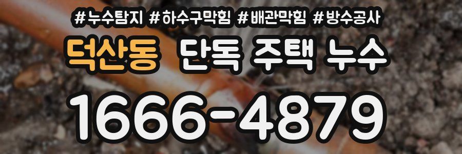 덕산동 단독 주택 누수