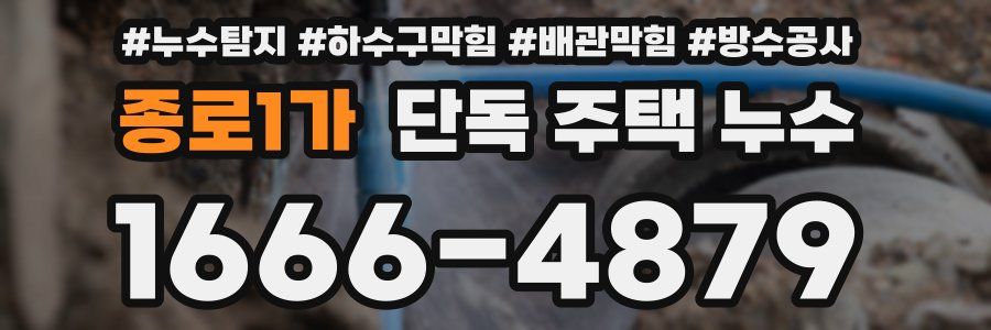 종로1가 단독 주택 누수