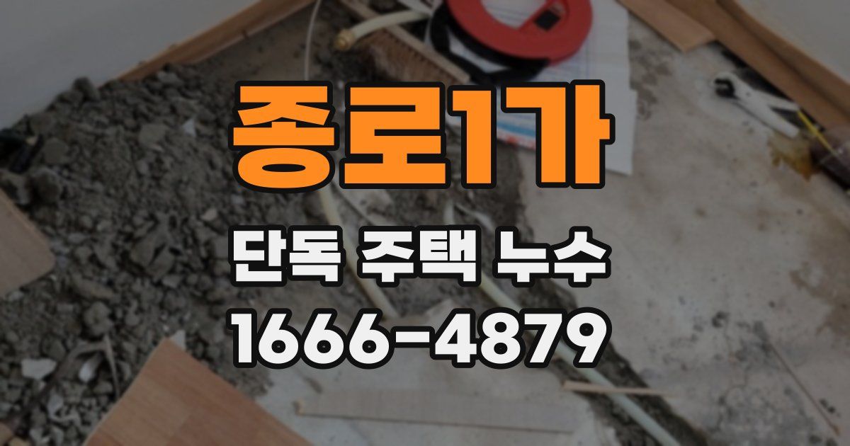 종로1가 단독 주택 누수