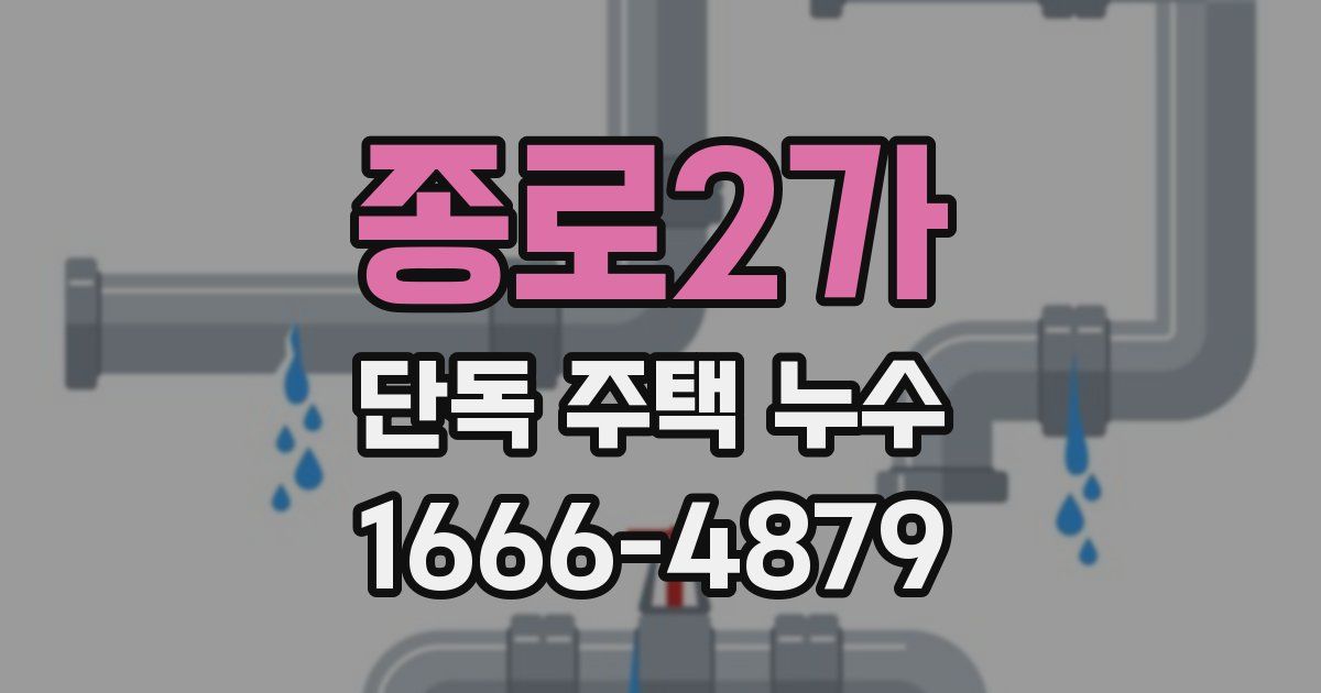 종로2가 단독 주택 누수