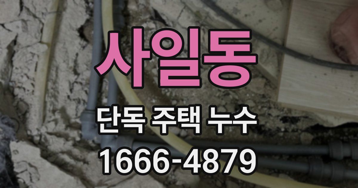 사일동 단독 주택 누수