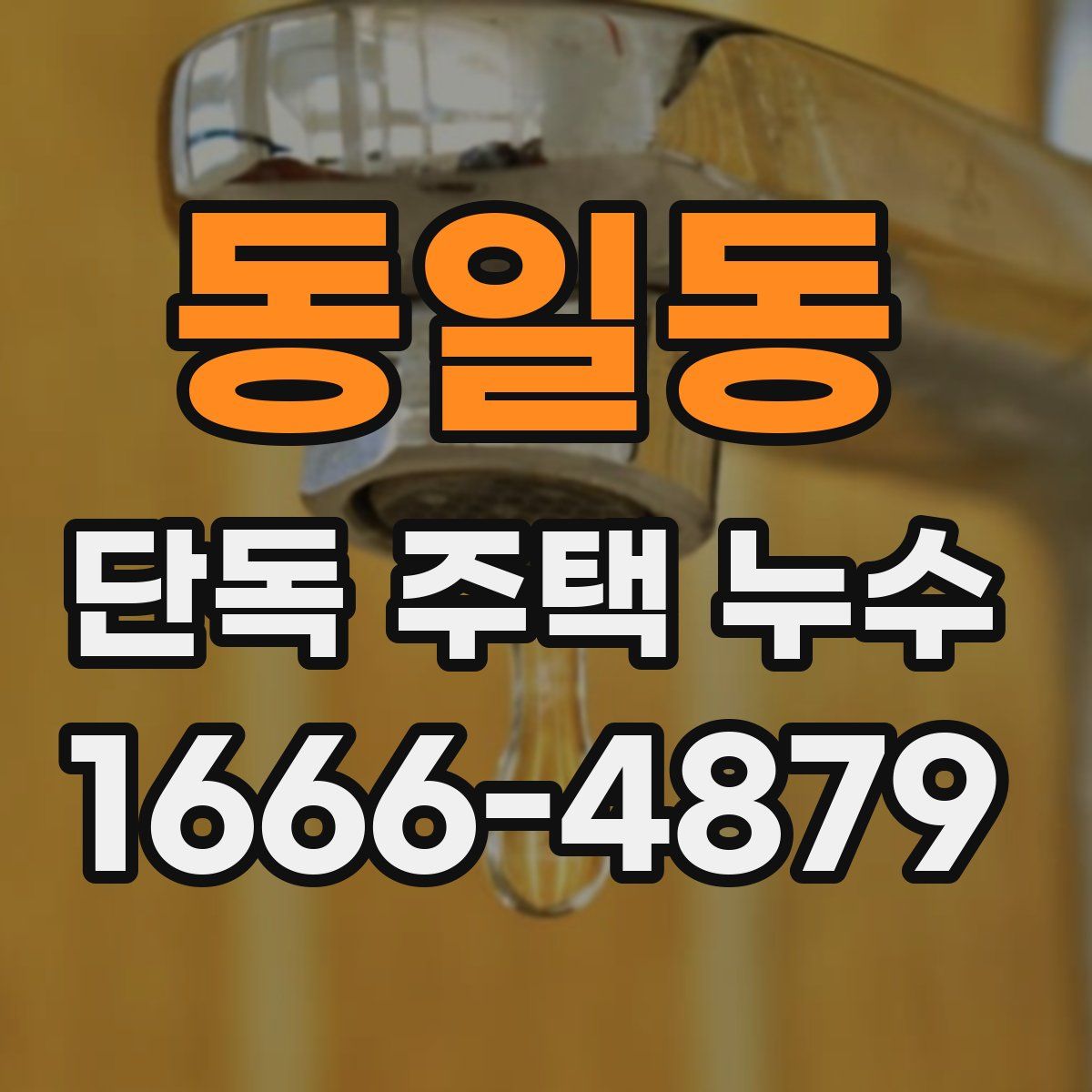 동일동 단독 주택 누수