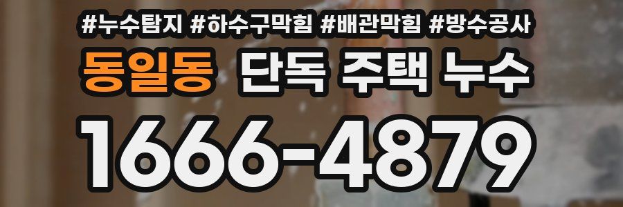 동일동 단독 주택 누수