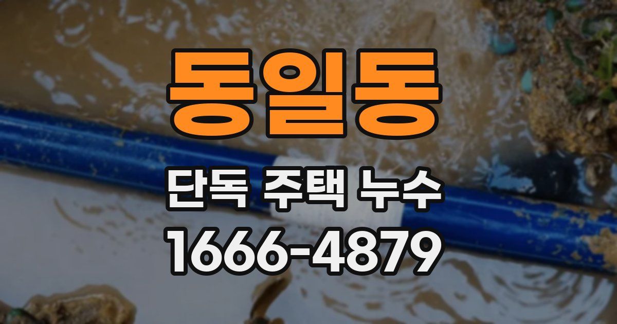 동일동 단독 주택 누수