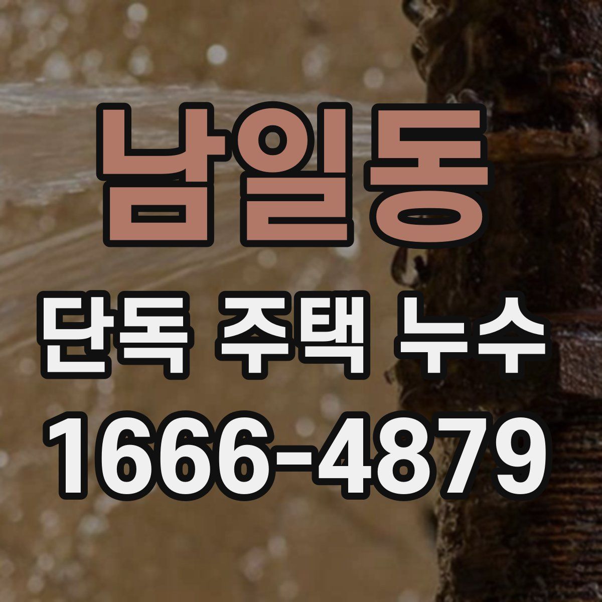 남일동 단독 주택 누수