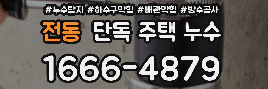 전동 단독 주택 누수