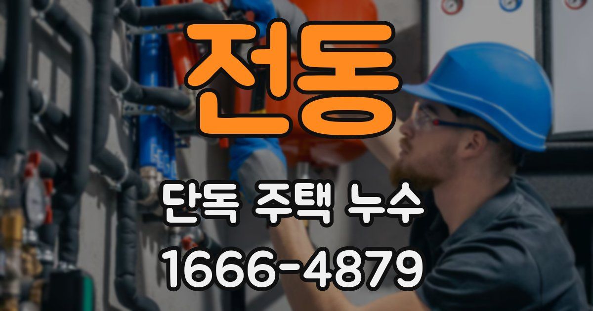 전동 단독 주택 누수