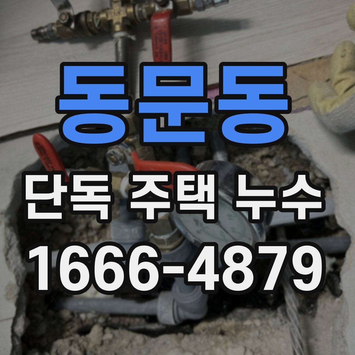 동문동 단독 주택 누수 원인이 천장일 때 확인법