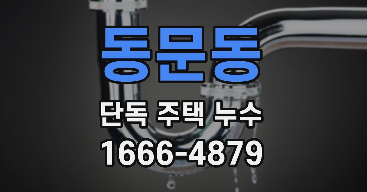 동문동 단독 주택 누수