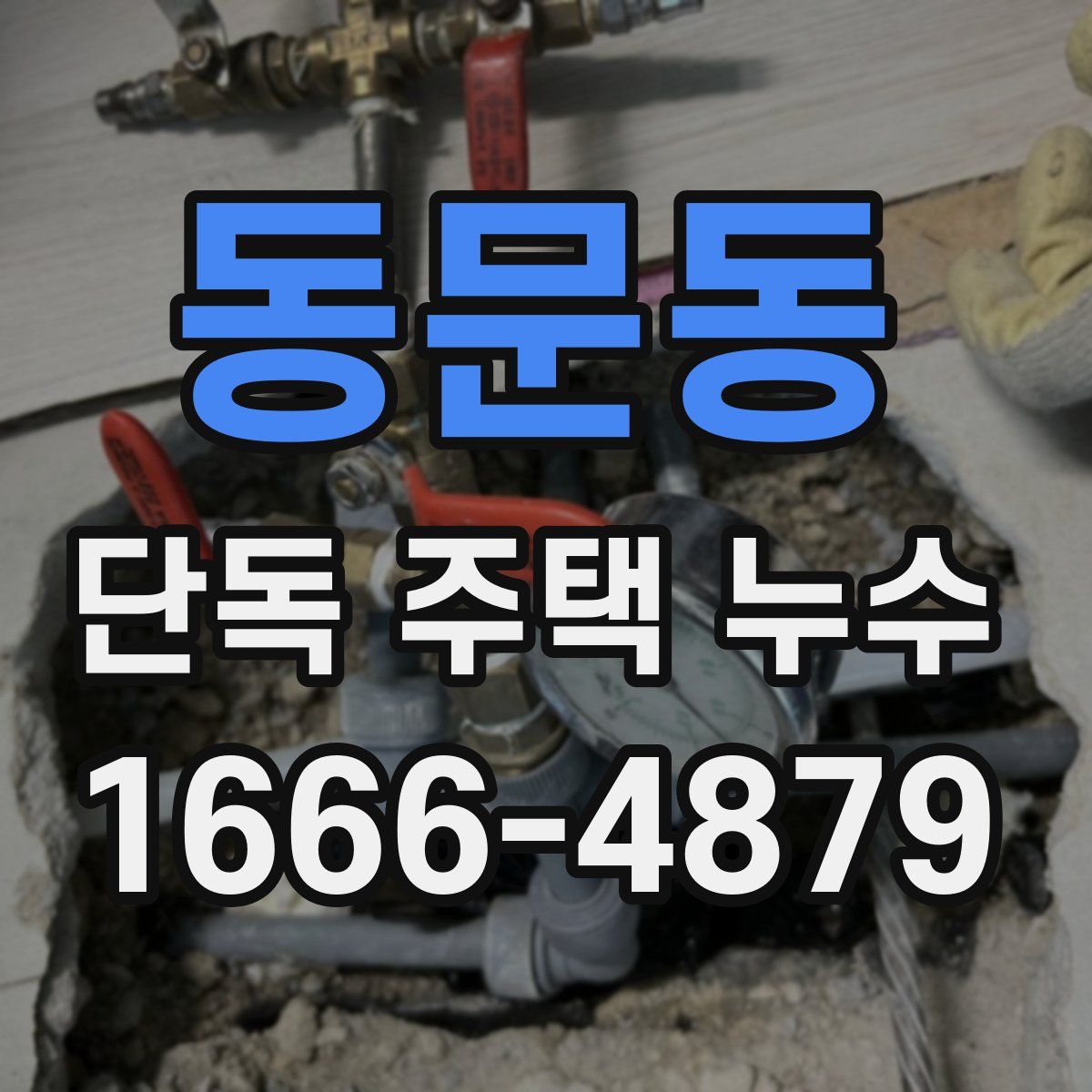 동문동 단독 주택 누수
