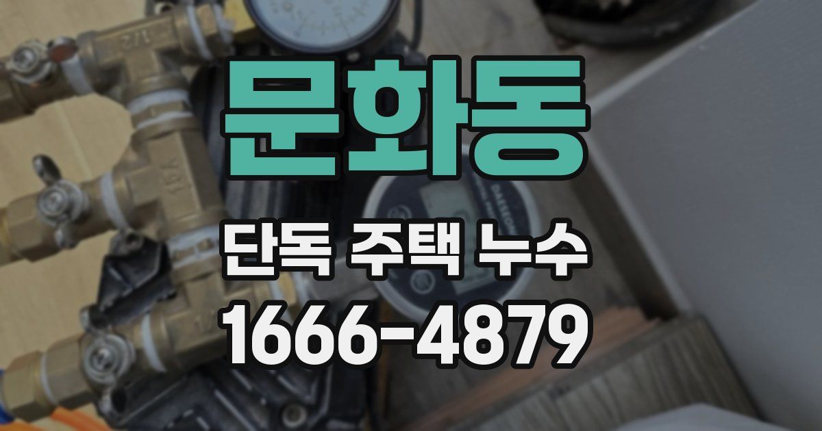 문화동 단독 주택 누수