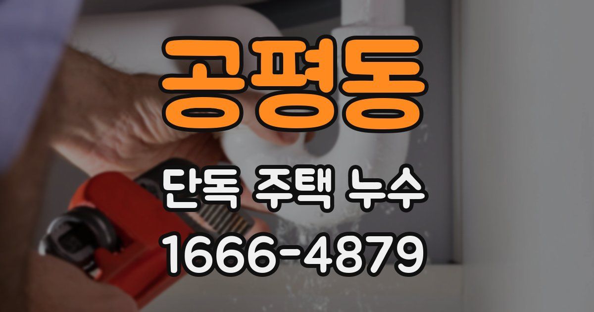 공평동 단독 주택 누수