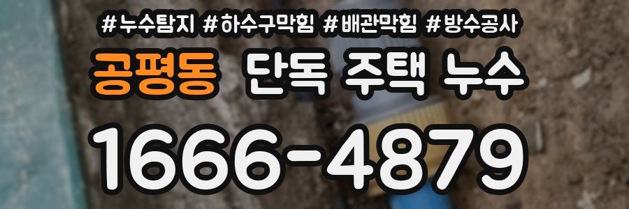공평동 단독 주택 누수