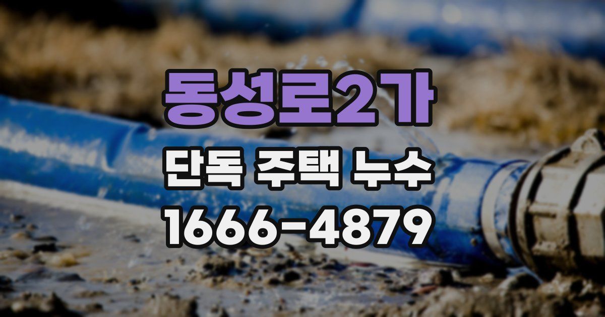 동성로2가 단독 주택 누수