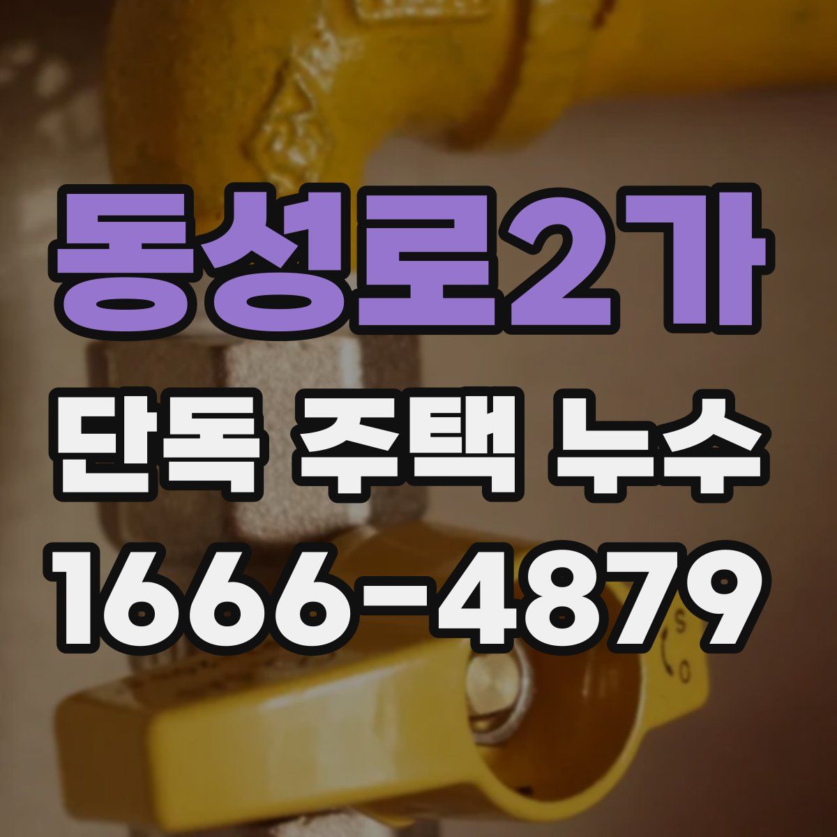 동성로2가 단독 주택 누수