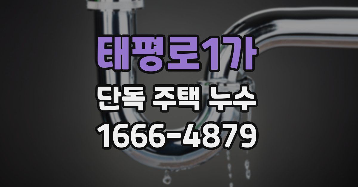태평로1가 단독 주택 누수