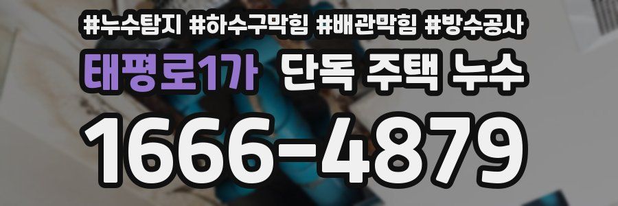 태평로1가 단독 주택 누수