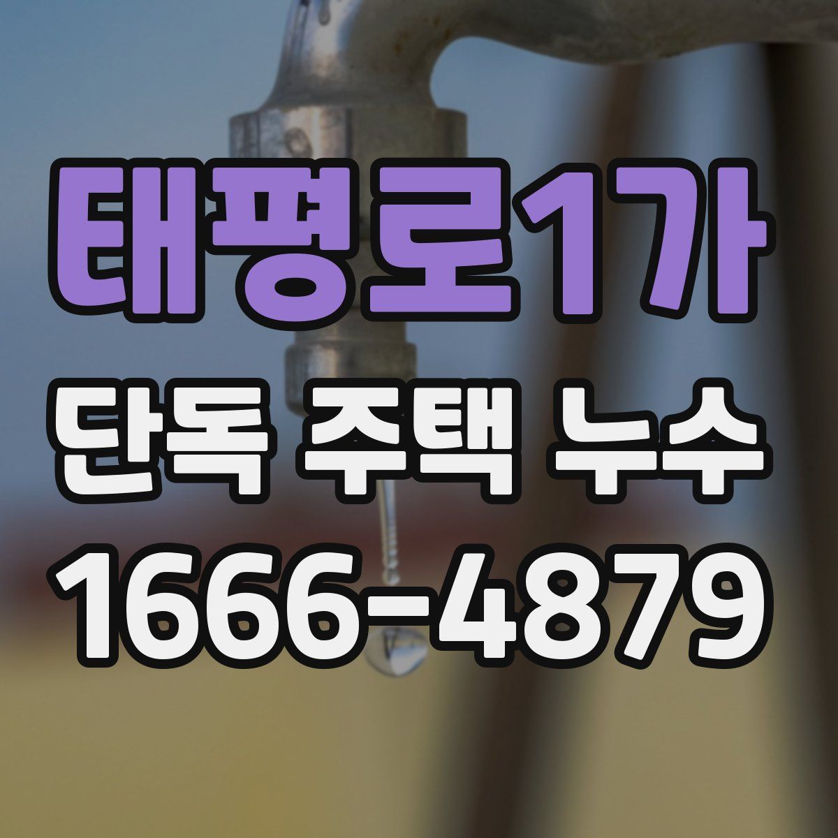 태평로1가 단독 주택 누수