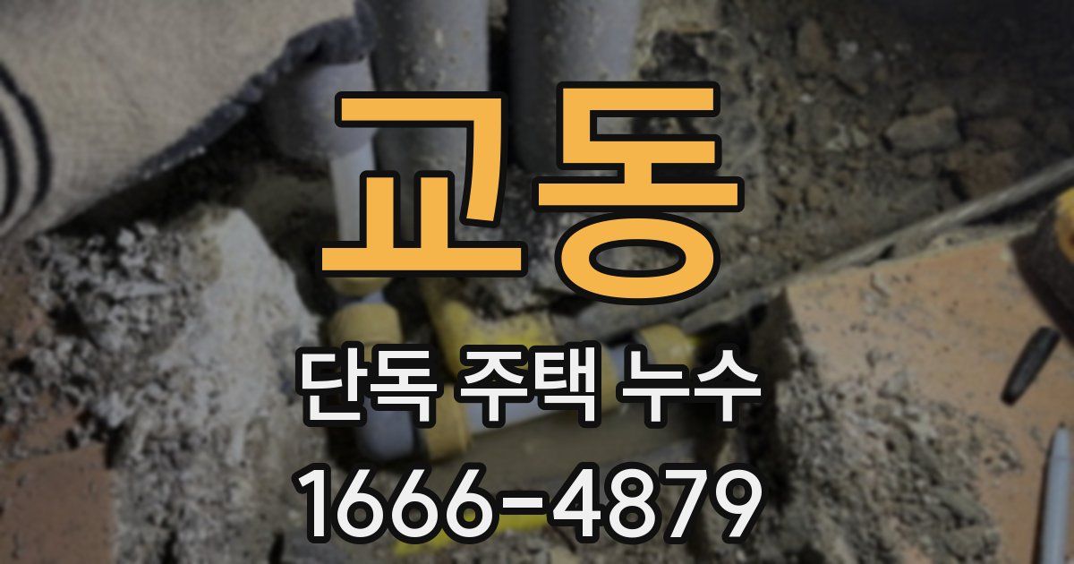 교동 단독 주택 누수