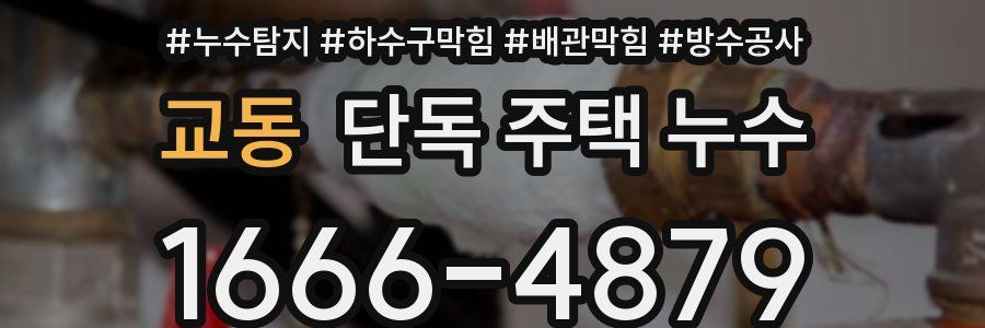 교동 단독 주택 누수