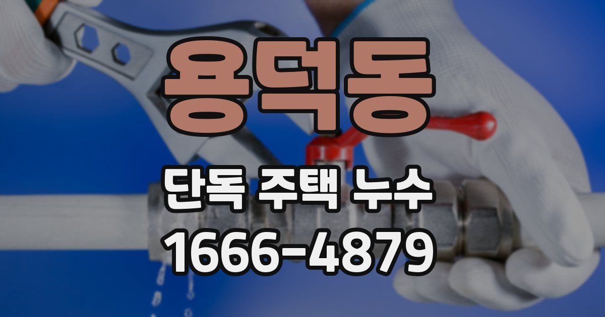 용덕동 단독 주택 누수