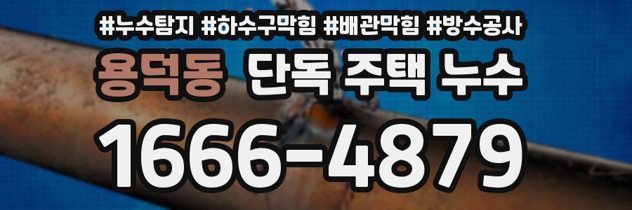 용덕동 단독 주택 누수
