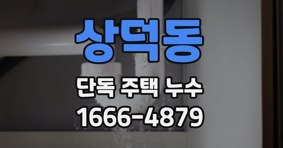 상덕동 단독 주택 누수