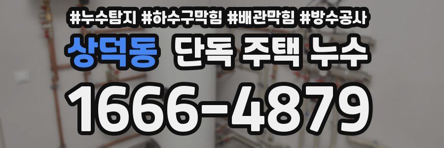 상덕동 단독 주택 누수