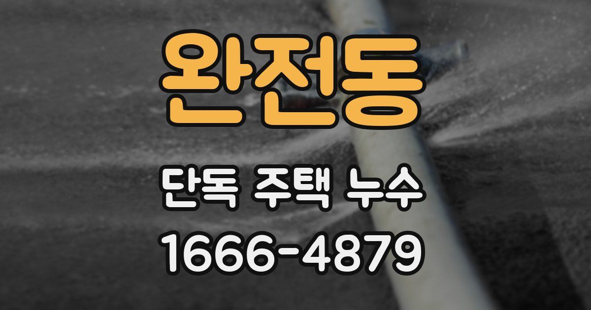 완전동 단독 주택 누수