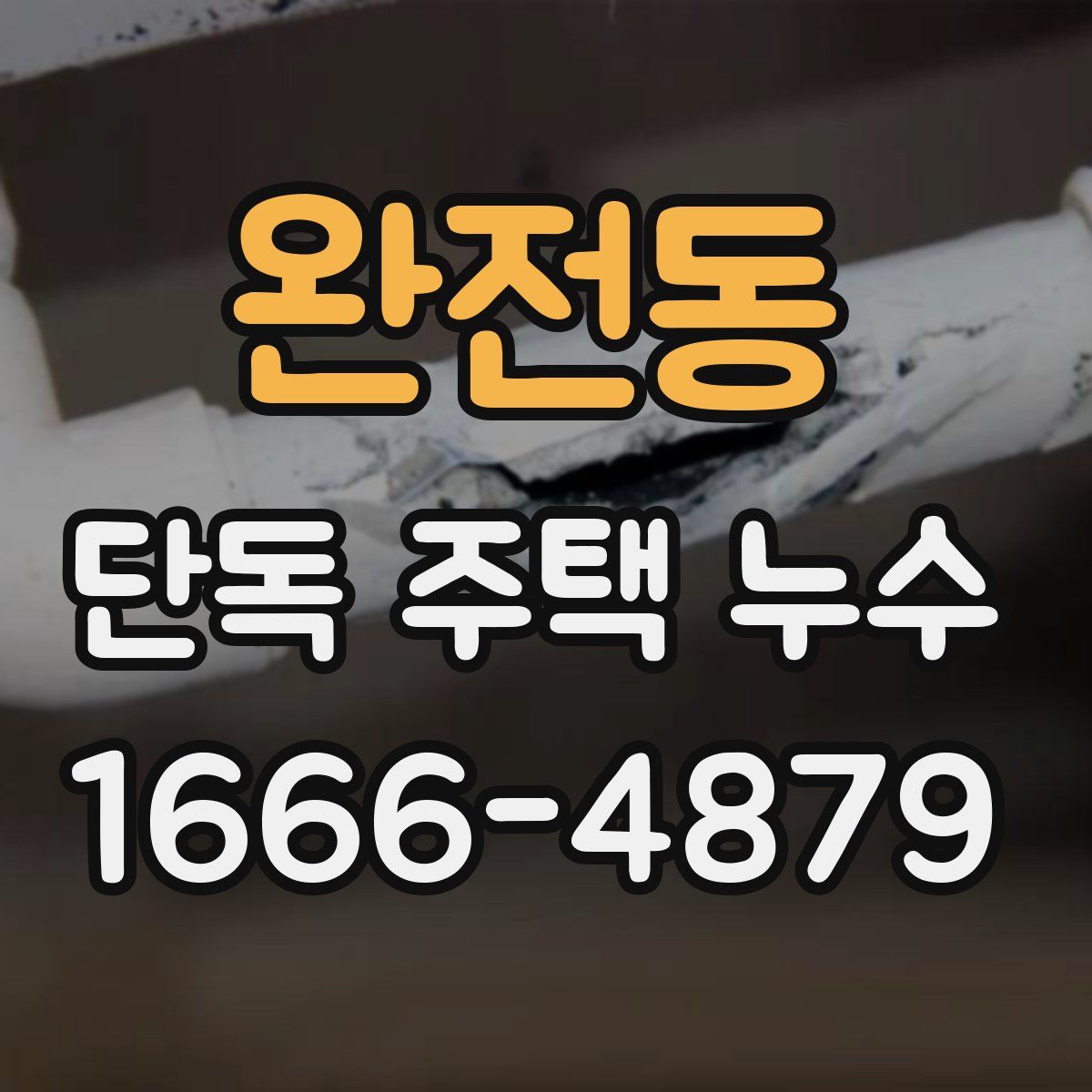 완전동 단독 주택 누수