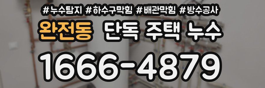 완전동 단독 주택 누수