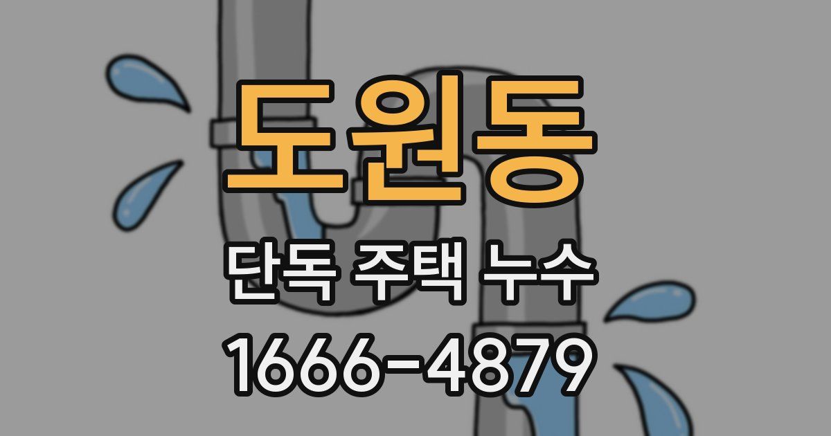 도원동 단독 주택 누수