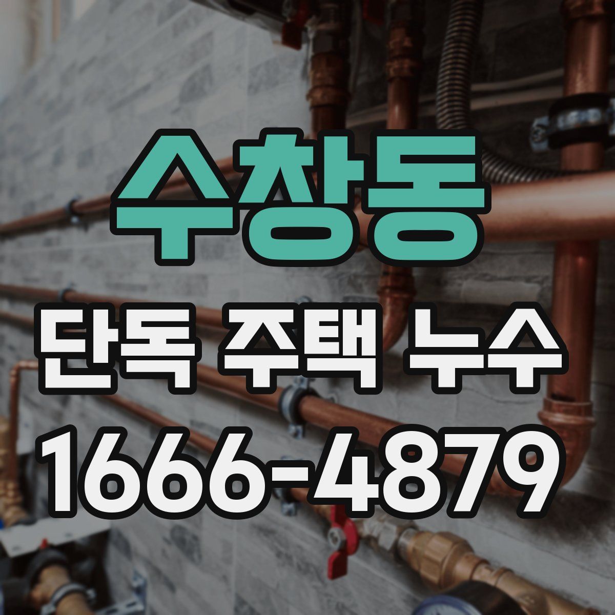 수창동 단독 주택 누수