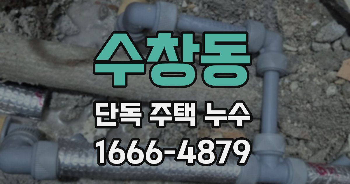 수창동 단독 주택 누수