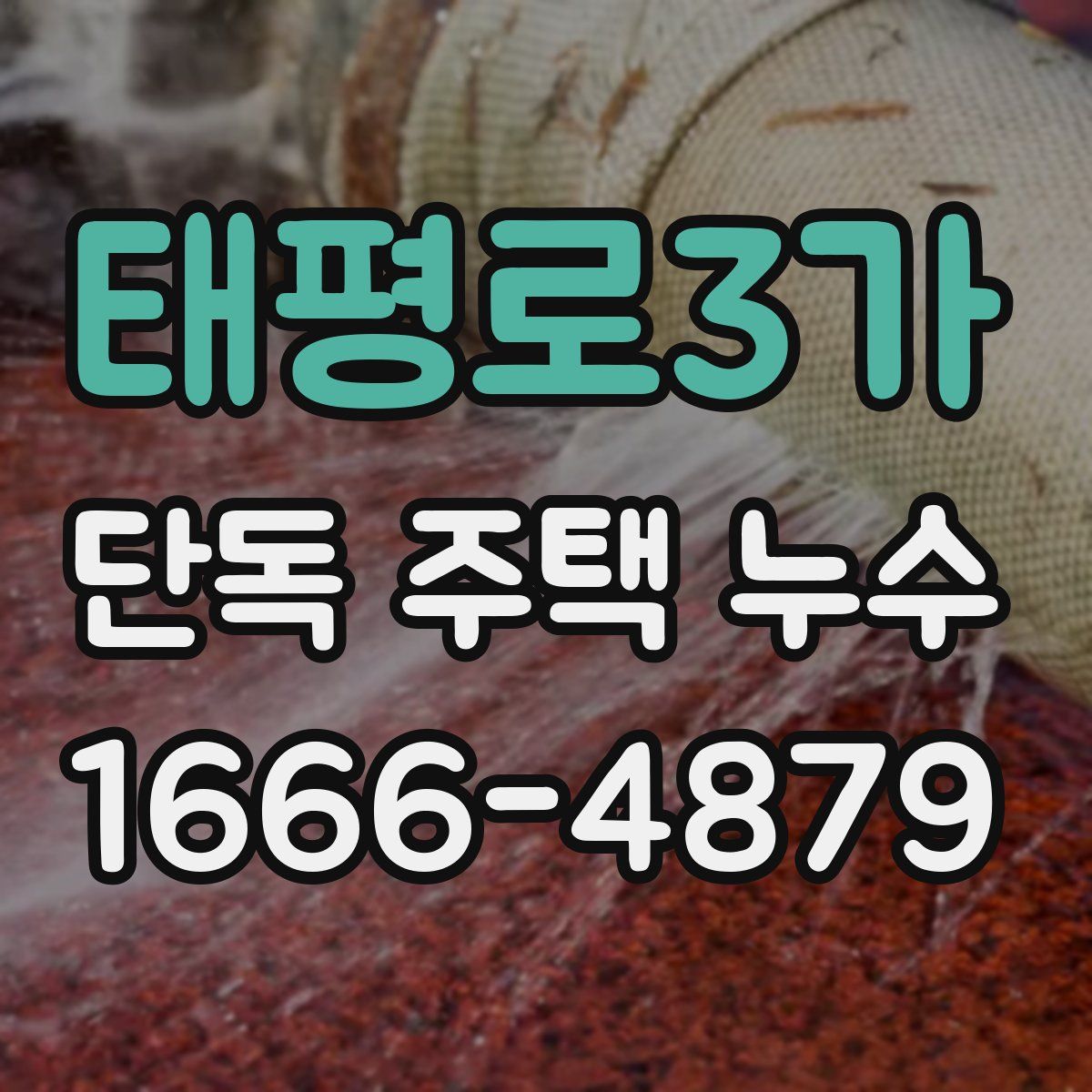 태평로3가 단독 주택 누수