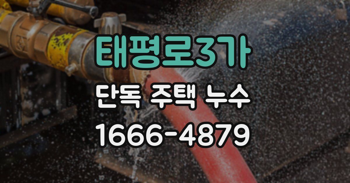 태평로3가 단독 주택 누수