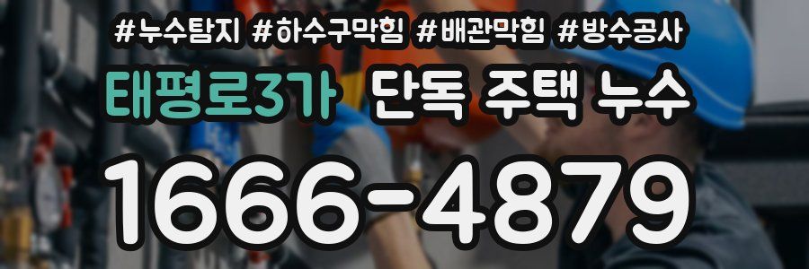 태평로3가 단독 주택 누수