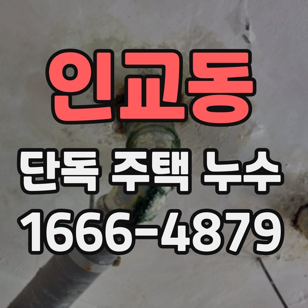 인교동 단독 주택 누수