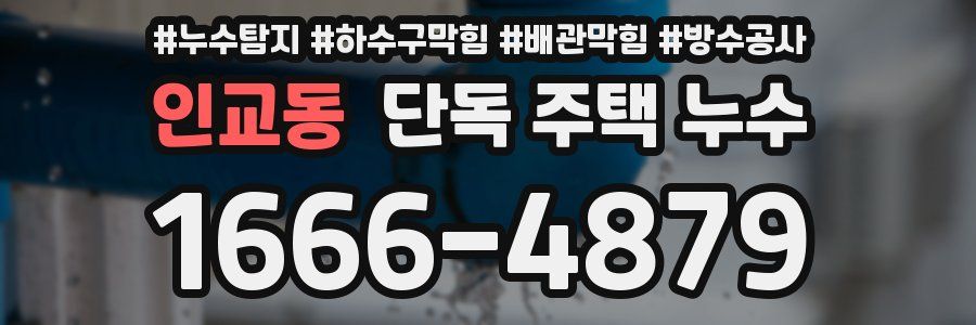 인교동 단독 주택 누수