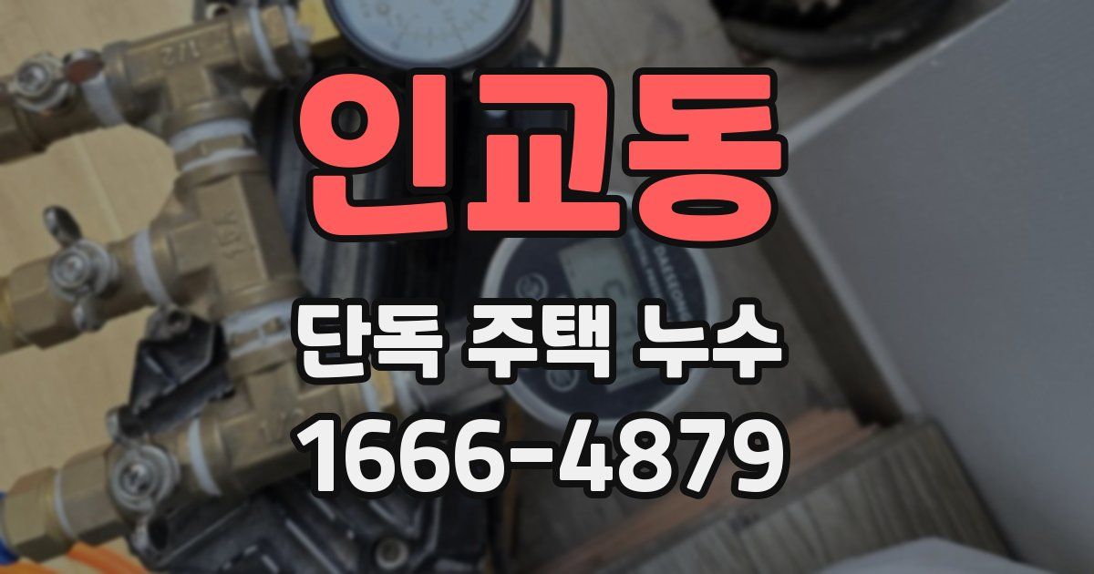 인교동 단독 주택 누수