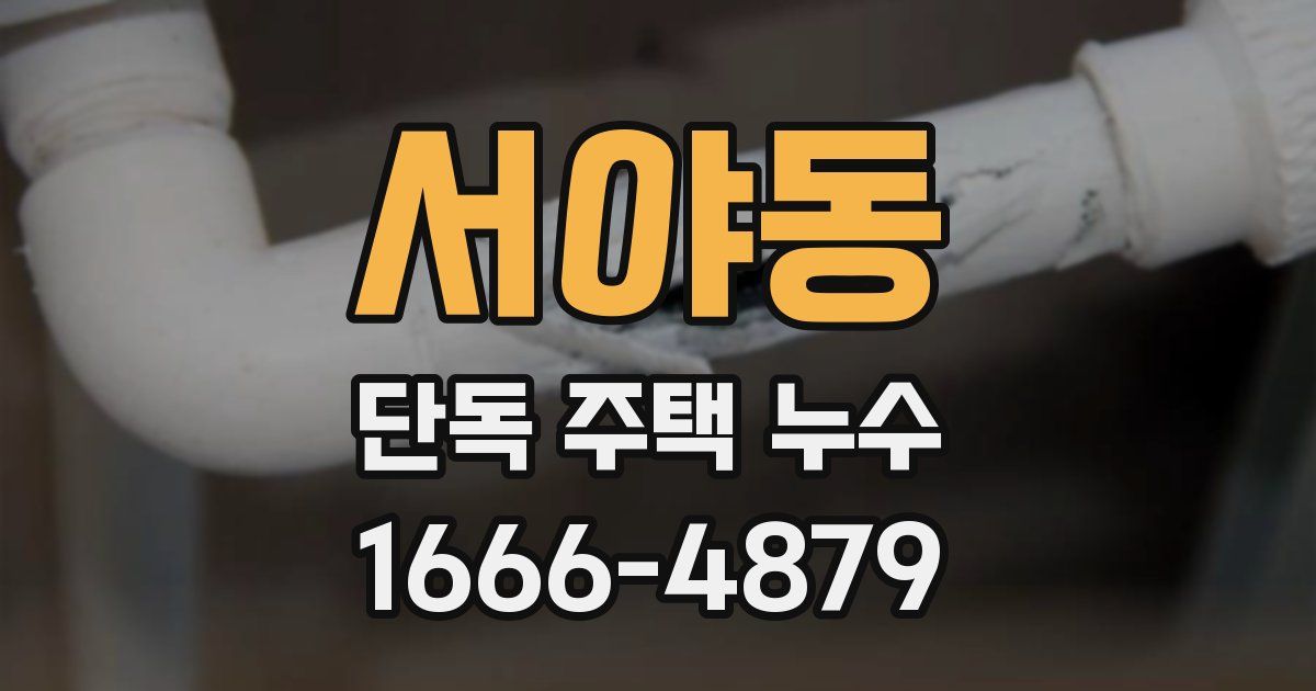 서야동 단독 주택 누수