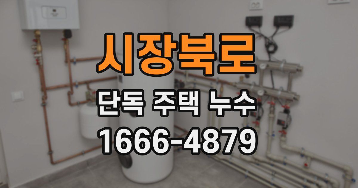 시장북로 단독 주택 누수