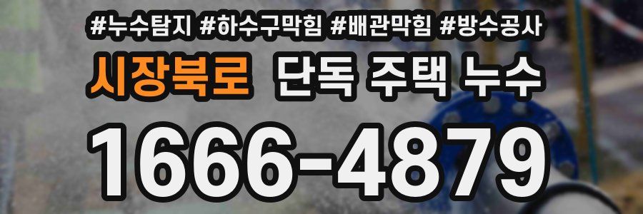 시장북로 단독 주택 누수