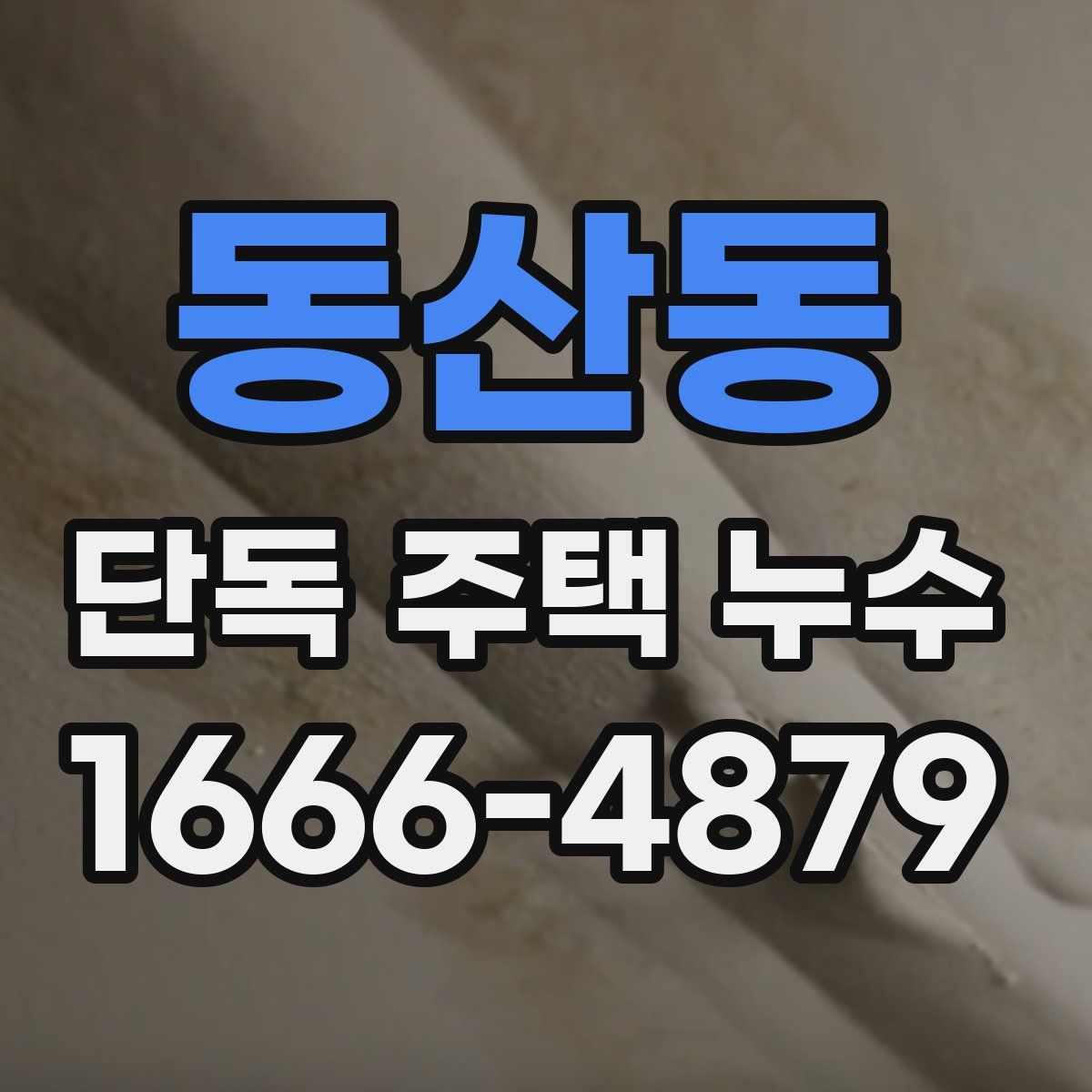 동산동 단독 주택 누수