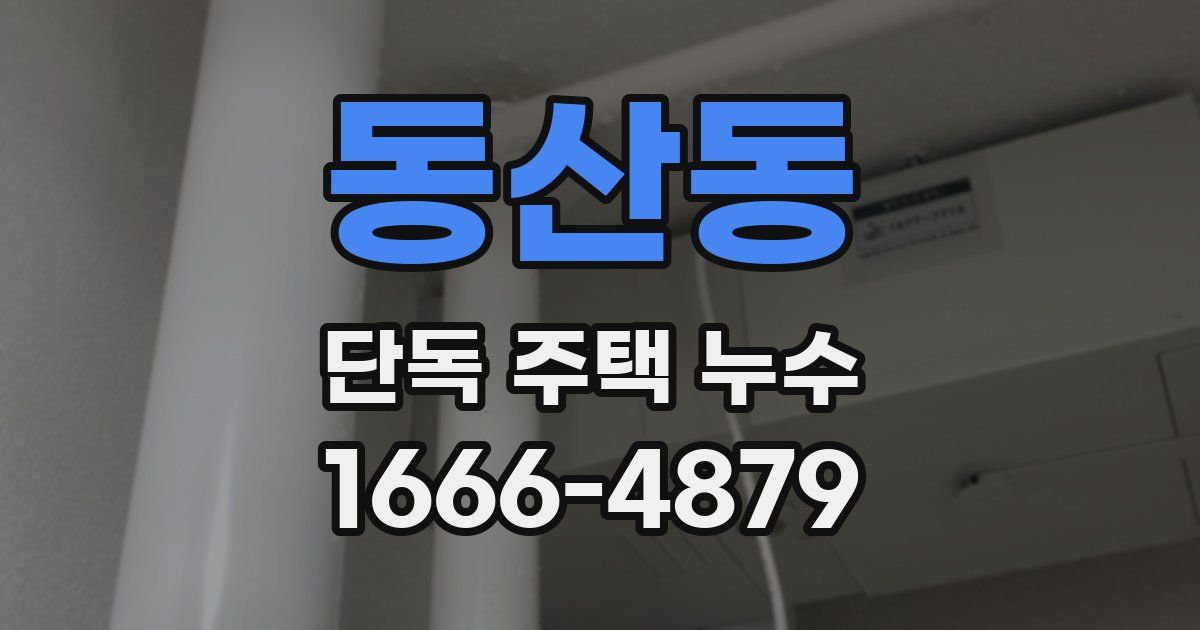 동산동 단독 주택 누수