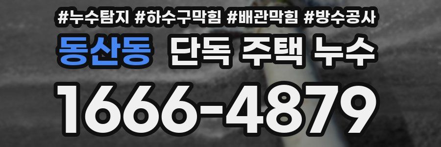 동산동 단독 주택 누수